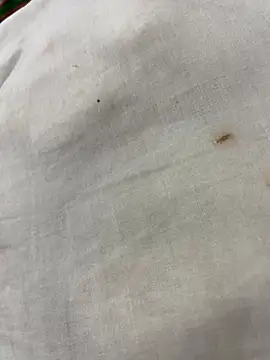 elSexi online show from 12/02/25, 01:17