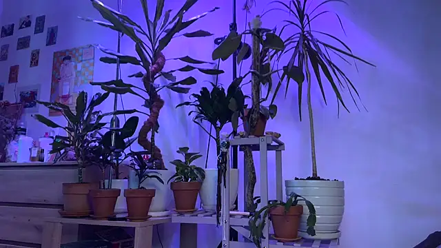 PaulaPratt online show from 09/13/25, 06:57