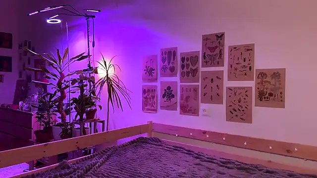 PaulaPratt online show from 10/04/25, 05:42