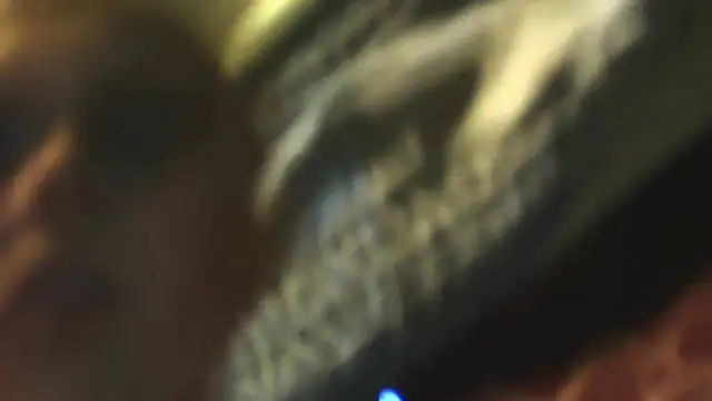 sexycockfiend777 online show from 11/22/25, 01:21