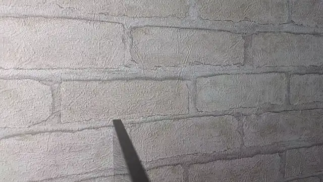 Nika Kitten online show from 04/16/26, 11:22