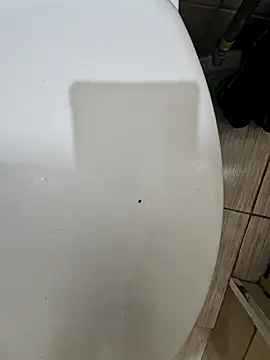 Snapshot of __Vlad__ chatting on 12/27/24, 05:52 Vlad online show from 12/27/24, 05:52