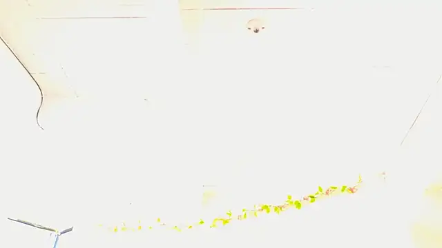 Anastasia2023 online show from 05/20/26, 08:06