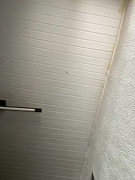 luara1988 online show from 11/12/25, 12:31