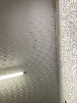 luara1988 online show from 10/23/25, 10:58