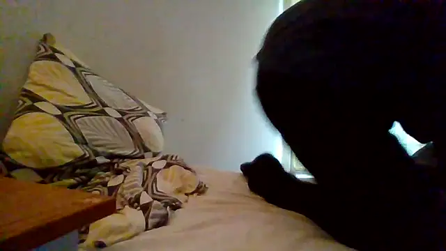 lusluk online show from 12/30/24, 03:34