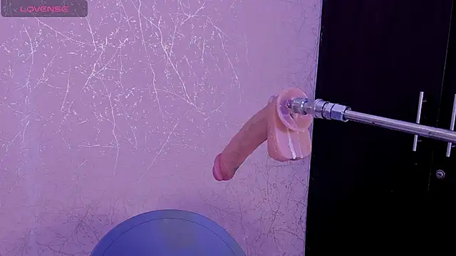 grace-3 online show from 03/08/26, 02:04