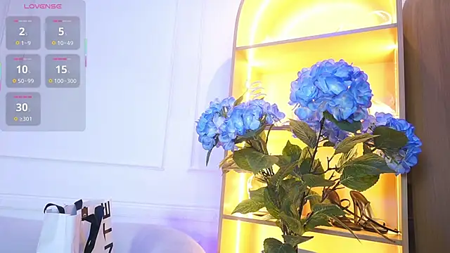 elasummer online show from 11/28/25, 11:54