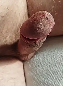 Stripchatsek online show from 10/01/25, 08:30