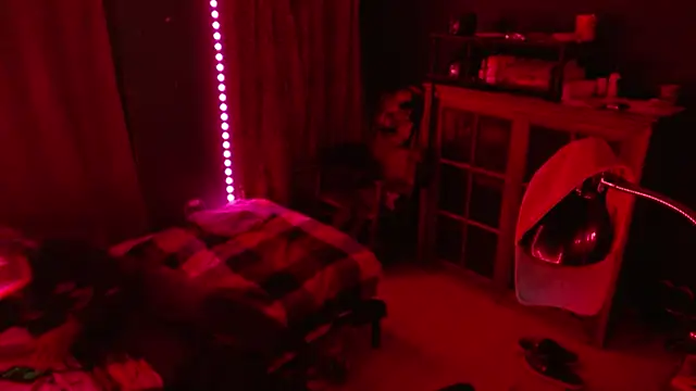 Snapshot of _______the chatting on 12/17/25, 10:20 the online show from 12/17/25, 10:20