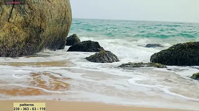 Snapshot of _sex_in_paradise_ chatting on 01/20/25, 11:54 sex in paradise online show from 01/20/25, 11:54
