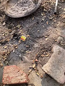 satrr xxx online show from 11/27/25, 04:57