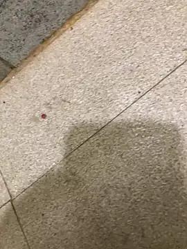 satrr xxx online show from 12/04/24, 01:03