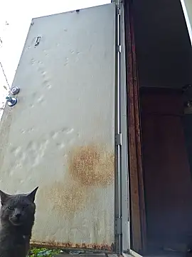 Beyond1978 online show from 11/15/25, 04:33