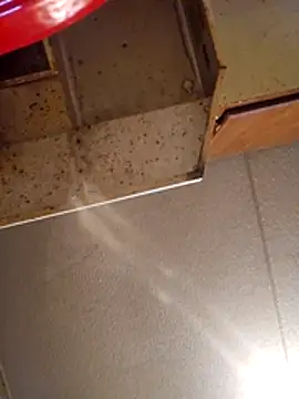 Beyond1978 online show from 11/13/25, 08:35