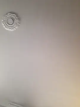 dragon1006 online show from 11/22/25, 10:19