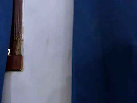 Fernanda brown18 online show from 11/27/25, 09:04