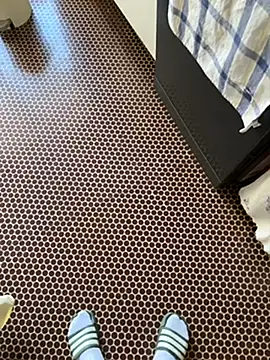 solomec online show from 04/11/26, 07:05