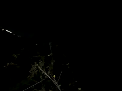 Backshort11 online show from 11/04/25, 03:21