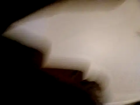 willywonka7793 online show from 12/16/24, 05:33