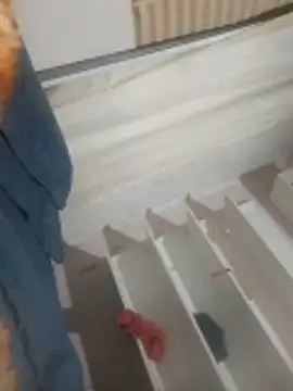 JhonyFernando online show from 12/21/25, 08:53