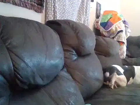 Snapshot of IvanaPlenty chatting on 02/01/25, 12:15 IvanaPlenty online show from 02/01/25, 12:15