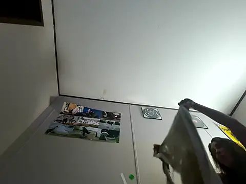 IvanaPlenty online show from 02/21/26, 12:51