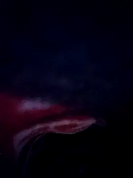 sana14 online show from 02/25/26, 10:53