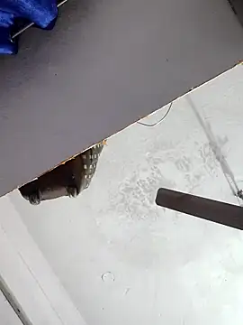 sana14 online show from 12/17/25, 10:48