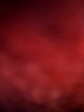 sana14 online show from 12/14/25, 09:53