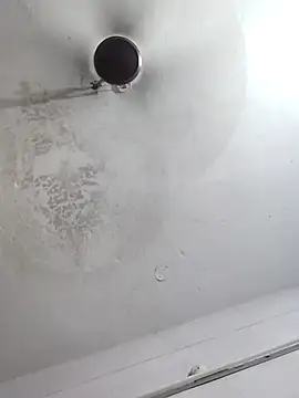 sana14 online show from 10/06/25, 10:10