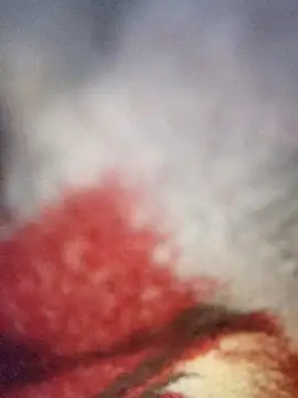 sana14 online show from 12/19/25, 10:34