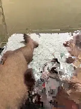 cum4mheaven online show from 03/22/26, 06:48