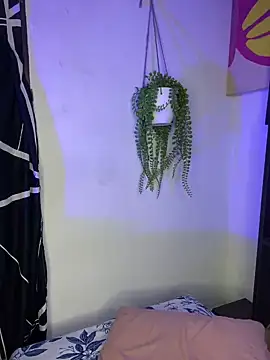 abbyyoungs online show from 12/17/24, 04:01
