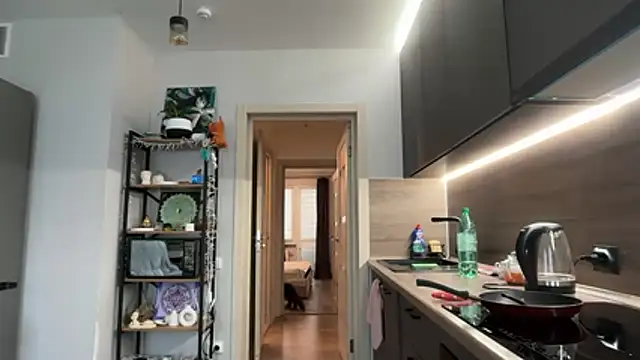 Snapshot of jainesummer chatting on 12/04/25, 08:46 jainesummer online show from 12/04/25, 08:46