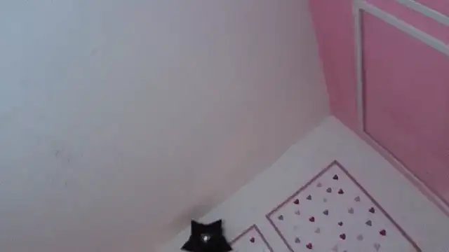 stephania t online show from 01/10/26, 12:33