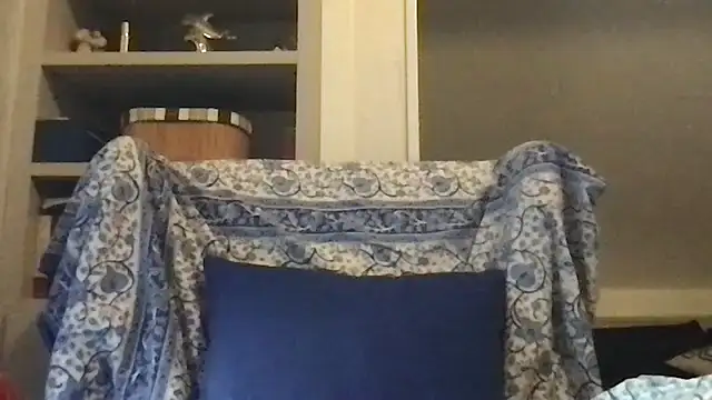 pantomax online show from 11/29/25, 08:03