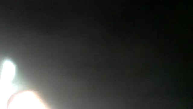 pantomax online show from 05/19/26, 08:54