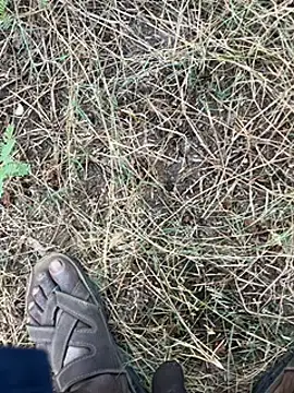 tamil000000 online show from 03/11/25, 01:37