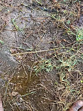 tamil000000 online show from 03/13/25, 01:43