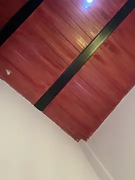 Cassie-millers online show from 12/20/24, 02:59