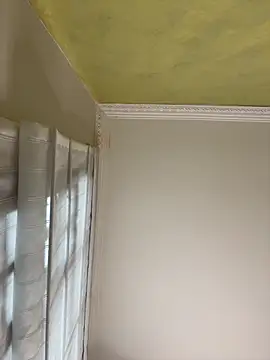 aurora divine online show from 11/16/25, 01:05