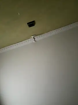 aurora divine online show from 11/08/25, 01:03