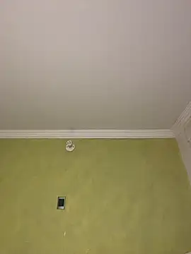 aurora divine online show from 02/11/26, 10:53