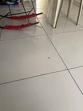 vivicolibri online show from 11/27/25, 12:49