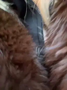 babydolll online show from 12/20/25, 11:35