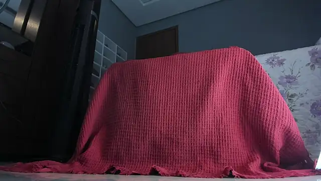 sherilkwang19tv online show from 01/12/26, 12:50