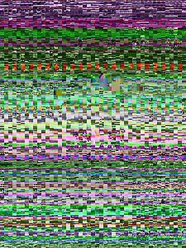 Snapshot of senoritaseno chatting on 02/11/25, 09:03 senoritaseno online show from 02/11/25, 09:03