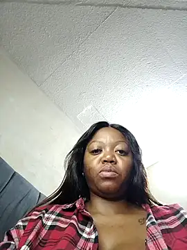 slimcate91 online show from 11/12/25, 12:59