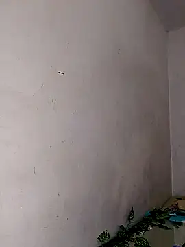 Alisson 420 online show from 02/11/25, 06:55